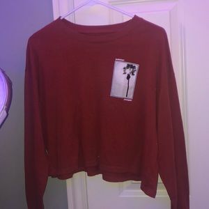 Long Sleeve Hollister Shirt